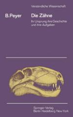 Die Zähne Ihr Ursprung, ihre Geschichte und ihre Aufgabe