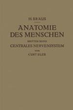 Anatomie des Menschen : Ein Lehrbuch für Studierende und Ärzte Dritter Band Centrales Nervensystem