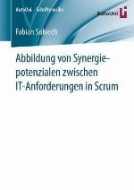 Abbildung Von Synergiepotenzialen Zwischen It-Anforderungen in Scrum