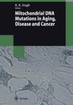 Mitochondrial DNA mutations in aging, disease, and cancer