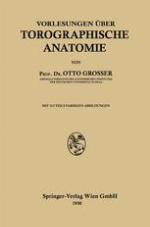 Vorlesungen über Topographische Anatomie