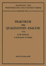 Praktikum der Qualitativen Analyse