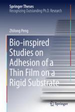 Bio-inspired studies on adhesion of a thin film on a rigid substrate