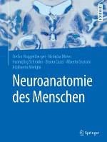 Neuroanatomie des Menschen