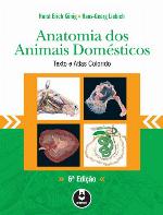 Veterinary Anatomy of Domestic Mammals