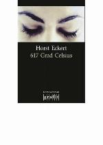 617 Grad Celsius (German Edition)