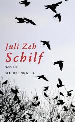 Schilf