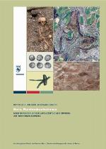 Bern, Reichenbachstrasse : neue Gräber aus dem latènezeitlichen Oppidum auf der Engehalbinsel