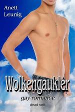 Wolkengaukler Roman