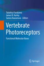 Vertebrate photoreceptors : functional molecular bases
