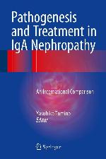 Pathogenesis and Treatment in IGA Nephropathy