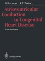 Atrioventricular Conduction in Congenital Heart Disease Surgical Anatomy