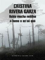 Había mucha neblina o humo o no sé que