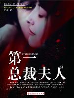 第一总裁夫人2