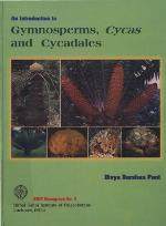 An introduction to gymnosperms, cycas, and cycadales