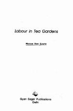 Labour in Tea Gardens