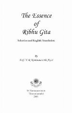 The Essence of Ribhu Gita