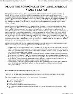 Plant propagation in horticulture