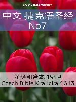 中文 捷克语圣经 No7