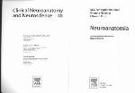 Neuroanatomia