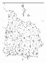 Flora Iberica : plantas vasculares de la Península Ibérica e Islas Baleares / 16 (2) 'Compositae' (partim) / eds.: S. Talavera ... [et al.].