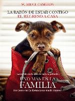 La razón de estar contigo. El regreso a casa