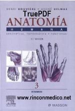 Anatomía Humana
