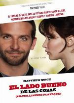 El lado bueno de las cosas