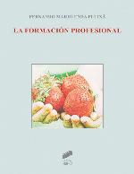 La formación profesional : logros y retos