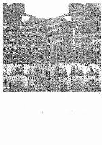 Os direitos humanos na pós-modernidade