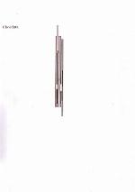 Chordata : manual para um curso prático