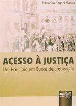 Acesso à justiça : um princípio em busca de efetivação