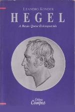 Hegel : a razao quase enlouquecida.