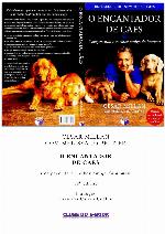 Encantador De Caes   Cesars Way