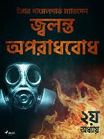 জ্বলন্ত অপরাধবোধ--২য় অধ্যায়