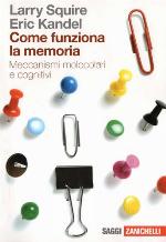 Come Funziona La Memoria