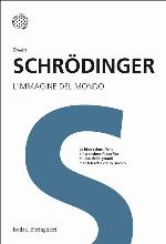 L'immagine del mondo