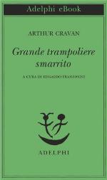 Grande trampoliere smarrito