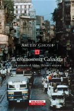 Il cromosoma Calcutta