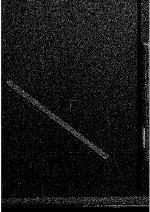 State Continuity and Nationality