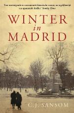 Winter in Madrid