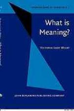 What Is Meaning?