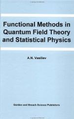 Functional Methods In Quantum Field Theory And Statistical Physics