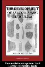 The Development of the Sarcoplasmic Reticulum
