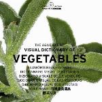 The Agile Rabbit Visual Dictionary of Vegetables [With CDROM]