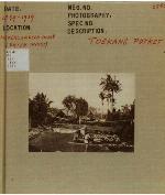 Toekang Potrer : 100 Jaar fotografie in Nederlands Indië 1839-1939