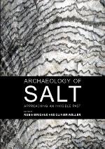 Archaeology of salt : approaching an invisible past