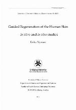 Guided regeneration of the human skin : in vitro and in vivo studies