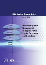 Heavy Component Replacement In Nuclear Power Plants