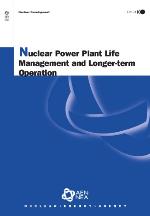 Nuclear power plant life management and longer-term operation